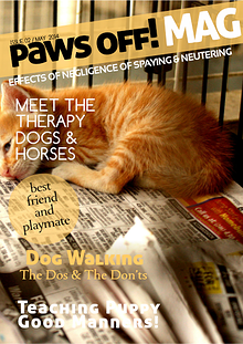 Paws Off! Magazine