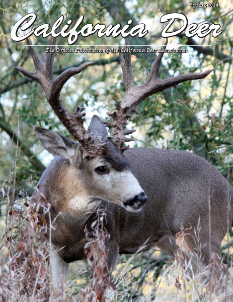 California Deer Spring 2014
