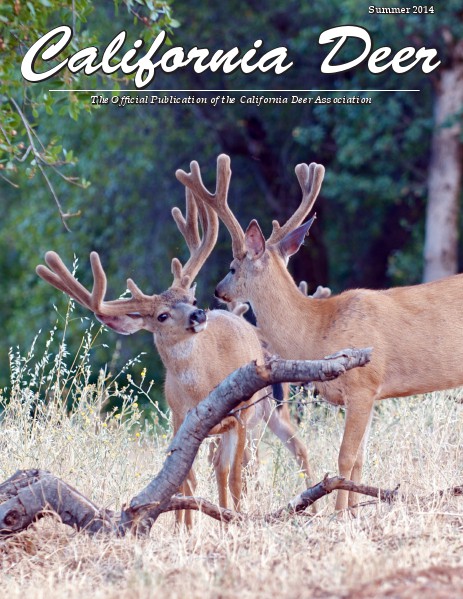 California Deer Summer 2014