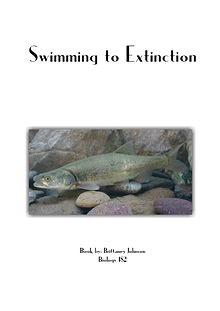 Swimming to Extinction