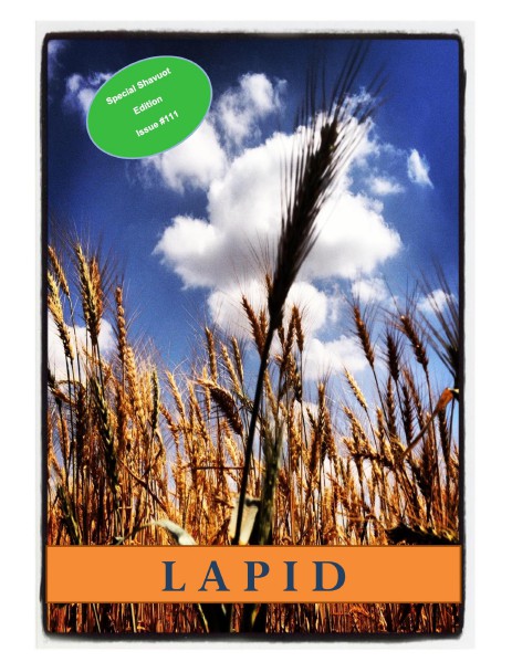 Lapid Volume #111, May 2014