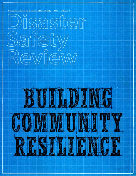 Disaster Safety Review 2013 Vol. 2