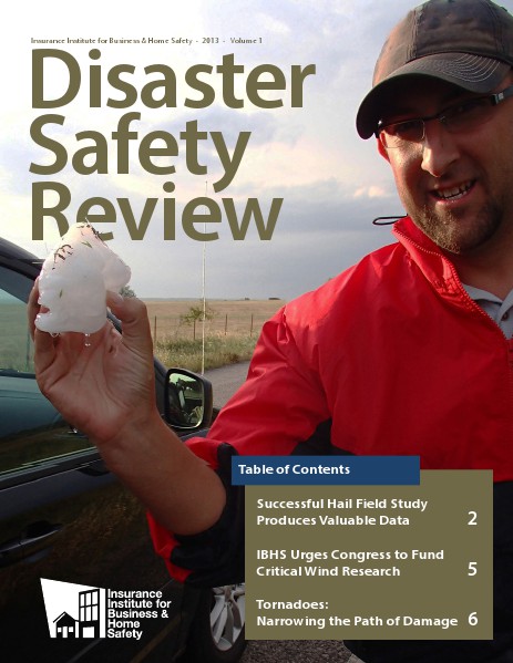 Disaster Safety Review 2013 Vol. 1