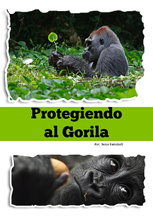 Protegiendo a los Gorilas de Odzala