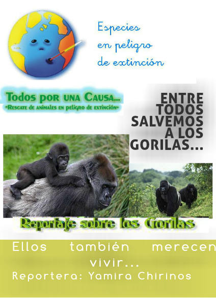 Entre todos Salvemos a los Gorilas Volumen Nº 1