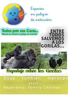 Entre todos Salvemos a los Gorilas