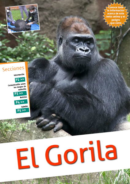 El gorila 2014