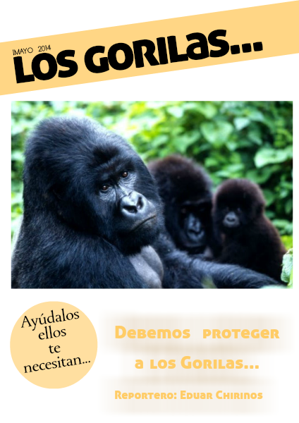 Debemos Proteger a los Gorilas VOLUMEN Nº 1