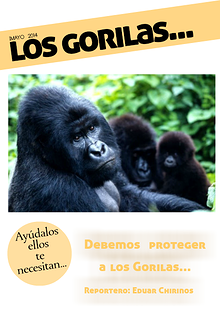 Debemos Proteger a los Gorilas