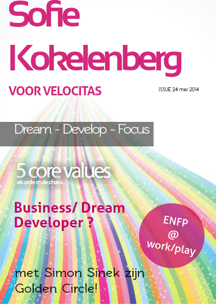 Visual CV or Job applications 24 mei 2014
