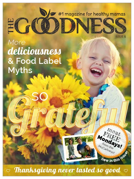 Healthy Mama Magazine Issue 5 - November 2014
