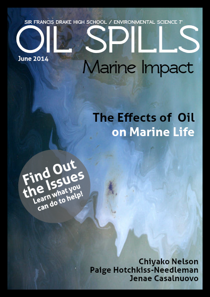 Oil Spills June 2014
