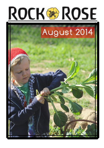 Our Monthly Newsletter August 2014