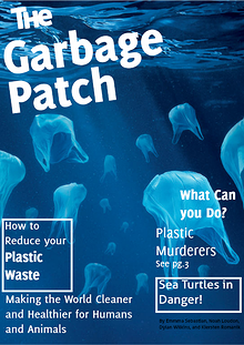 The Garbage Patch