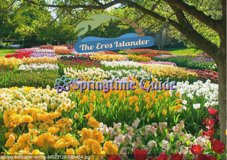 Islander Too Special Editions Springtime Guide