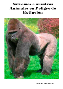 Rescatemos a los Gorilas Sepiembre 2012