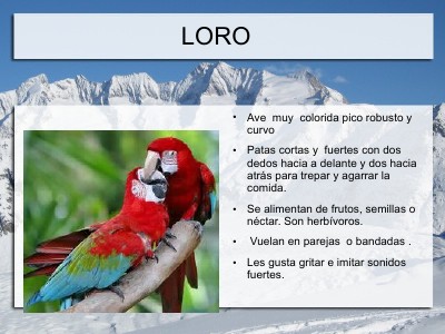 Enciclopedia de Animales Diciembre 2012