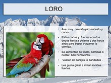 Enciclopedia de Animales
