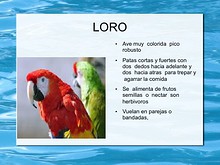 Enciclopedia de Animales