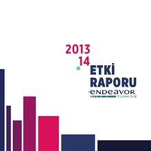 Endeavor Etki Raporu 2013-2014
