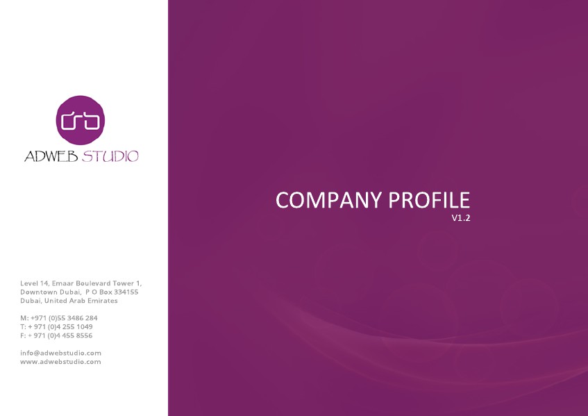 ADWEB-STUDIO-Profile.pdf Jun. 2014