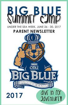 Big Blue Summer Camp