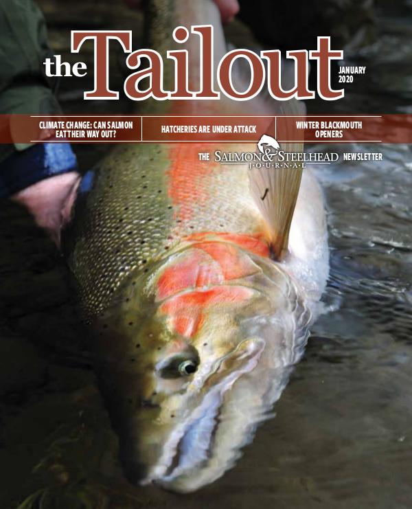 the Tailout January 2020 Tailout_January_2020
