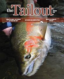 the Tailout January 2020