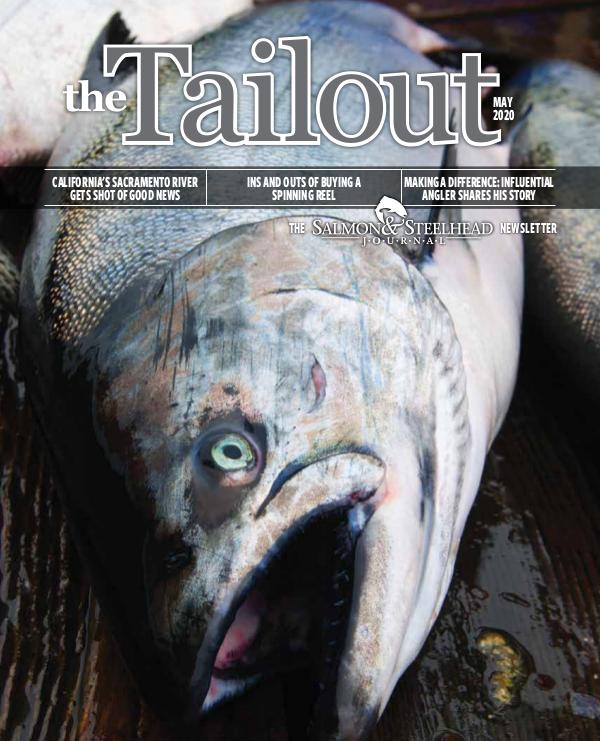 the Tailout May 2020 tailout_may2020finalx