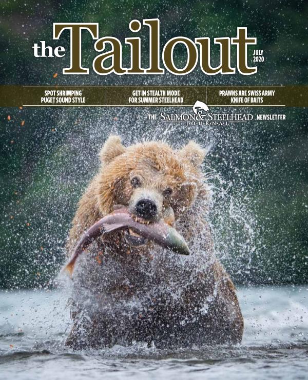 the Tailout July 2020