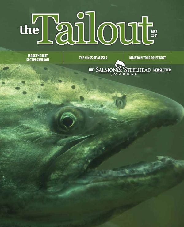 Tailout May 21