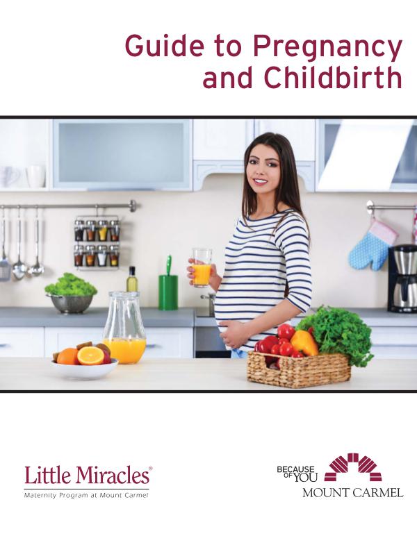Patient Education Guide to Pregnancy and Childbirth