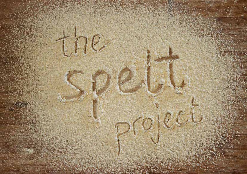 The Spelt Project 1, July 2014