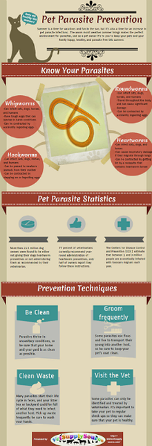 Pet Parasite Prevention