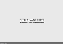 Stella Jayne Paper 2014 Catalog