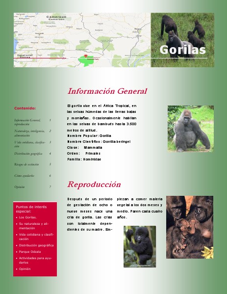 Los Gorilas Ago. 2014