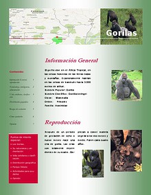 Los Gorilas