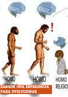 Darwin una experiencia para evolucionar