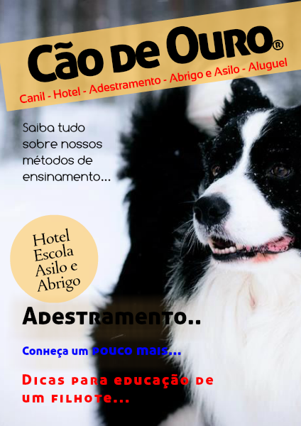 Cão de Ouro - Adestramento para cães - Hotel para Cães David Alejandro