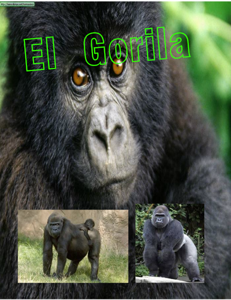El Gorila 2014