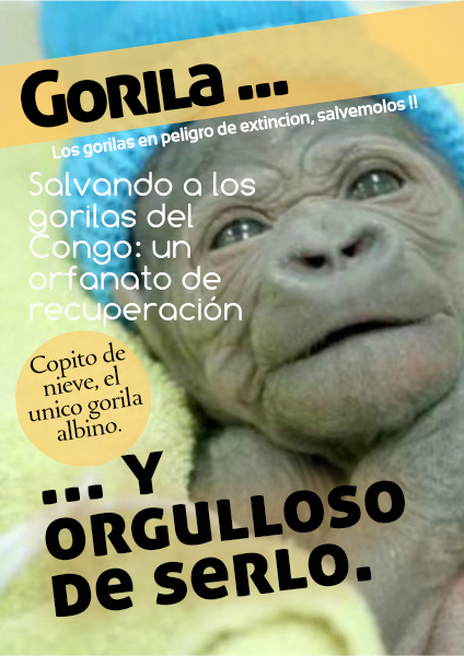 Los Gorilas ... PERÚ, 16 2014
