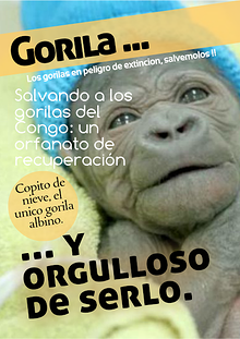 Los Gorilas ...