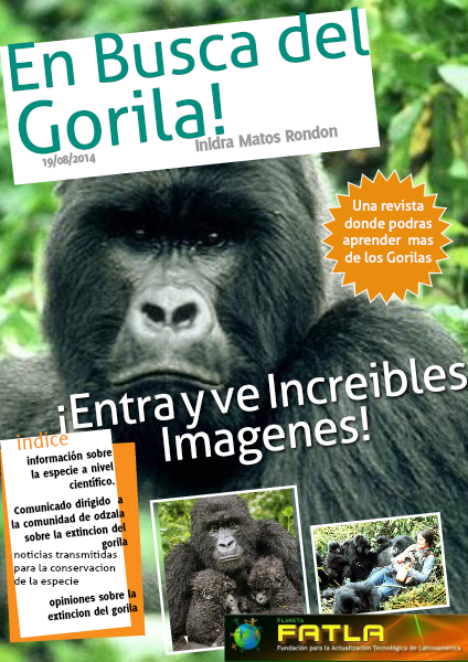 En Busca del Gorila Agosto 2014