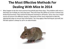 The Most Effective Methods For Dealing With Mice In 2014