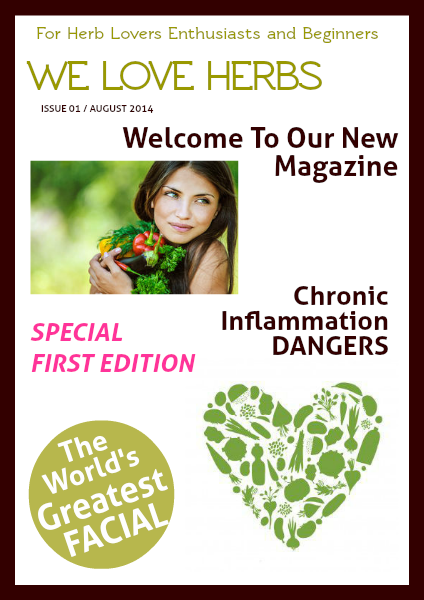 We LOVE Herbs August 2014 - Issue 1