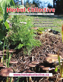 The Herbal Collective