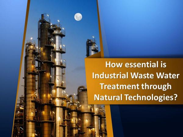 Industrial Waste Water Treatment through Natural Technologies How essential is Industrial Waste Water Treatment