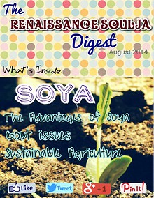 The Renaissance Soulja Digest