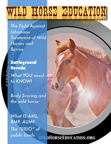 Wild Horse Education (Fall 2014)