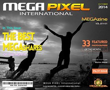 MPI BEST of MEGAShares Megazine 2014